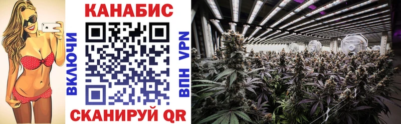 Где продают наркотики Воркута Канабис  COCAIN  Амфетамин  ГАШ 