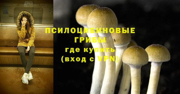 а пвп мука Верея