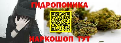 spice Владикавказ