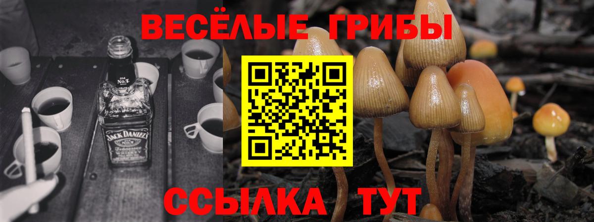 Галлюциногенные грибы GOLDEN TEACHER Воркута